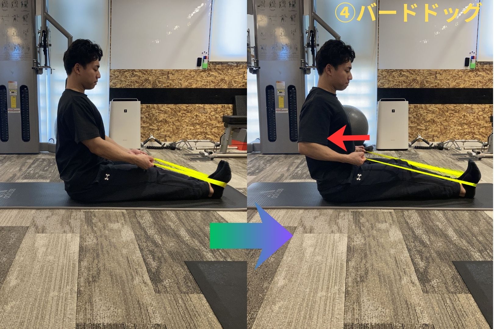 腰痛予防 筋トレ バードドッグ 体幹トレーニング